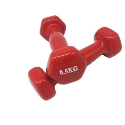 China High Quality Rubber Covered Dumbbell PVC Hand Weight Workout Home Gym Equipment Fitness Vinyl Dumbbell for sale