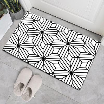 China Factory Price 53x86cm Washable Eco Friendly Wyst Anti Slip Portable Door Mats for sale