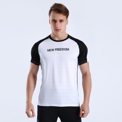 China Drop Shipping Men's Workout Graphic Tee Short Sleeve Gym Anti-Shrink And Activewear Training T-Shirt for sale