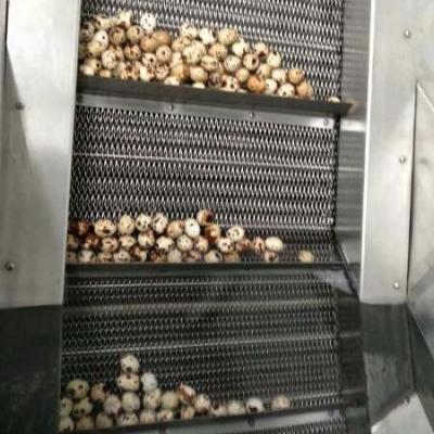 China Full Automatic Industrial Quail /broken Egg Skin Peeling / Boiling Machine for sale