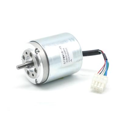 China Customizable IP40 57BL317 High Speed ​​Torque MICRO DC IP40 48W Brushless Motor For Lawn Mower Blade for sale