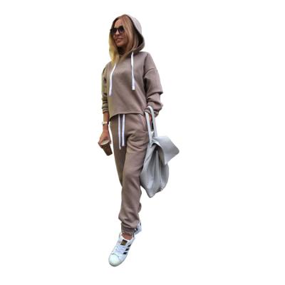 China Anti-Wrinkle Hoody Hoody Hoodie Sweatshirt Cover Adults Women Men Teens Clothing Bag Plain Winter Shoulder OEM for sale