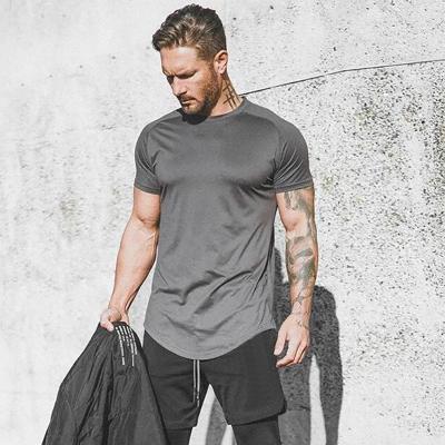 China Custom Logo Cotton Running Fitness Anti-Wrinkle Gym Muscle T-shirt Workout Sporty Men's T-shirt for sale