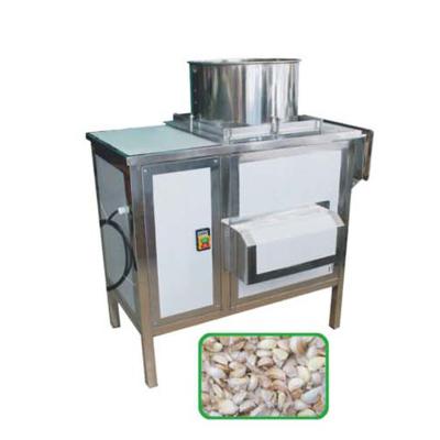 China Garlic Clove Separating Machine Food Processing Machine High Efficient 500-800kg/h for sale