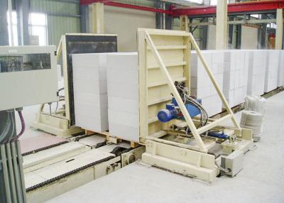 China AAC Block Packing Machine Fly Ash Brick With Grouping Transporter for sale