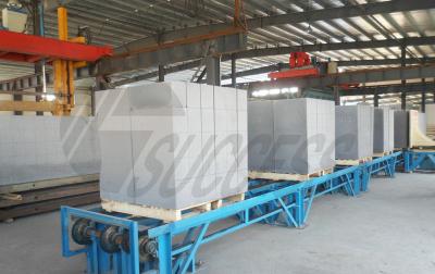 Chine Panneaux/blocs concrets aérés stérilisés à l'autoclave par poudre en aluminium 150000m3 à vendre