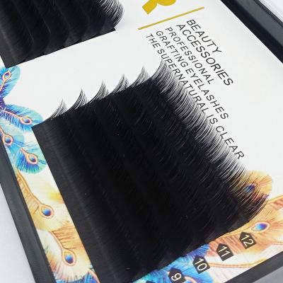 China Wholesale Custom Soft and Comfortable 3D-6D 8-15mm Private Label Fast Easy Volume Fanning Tapered Eyelash Extensions Sets for sale