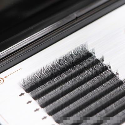 China Small wholesale price soft and comfortable different cc curl silk eyelash extensions own brand private label easy fan silk eyelash fans for sale