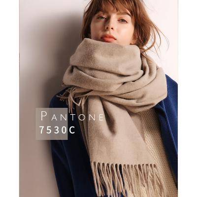 China Wholesale New Solid Color Autumn and Winter Wool Scarf Other Women's Custom Winter Scarf Thick Warm Scarf Large Shawl for sale