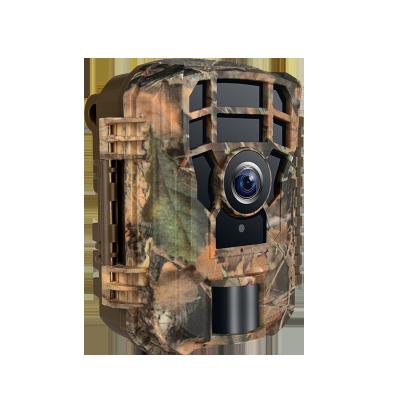 China NightShot Plus Hiicam 24Mp 1080P 30 Fps Video Recording Trail Wildlife Camera Night Vision 2.0