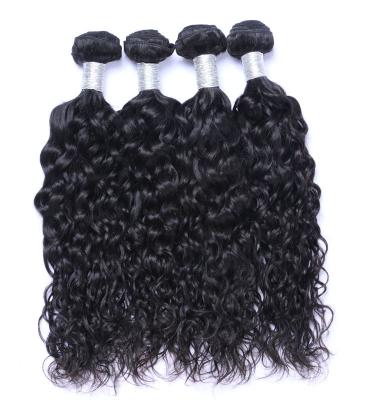 China Wet and Wavy Brazilian Virgin Hair Cuticle Aligned Human Hair High Quality Brazilian Virgin Hair All Textures Cuticle Aligned Raw Hair for sale