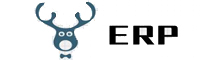 ERP SOFTWARE LTD.