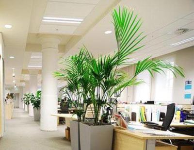 China Office Space To Rent London Worldwide Basic Business Needs Cubicle Style for sale