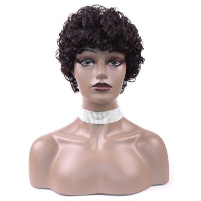 China Can Be Dyed Any Color And Fashion 9a Mink Brazilian Human Hair Wig Brazilian Curly Human Hair Afro Ironed Wig For Black Women for sale