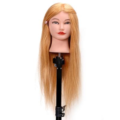 China Can Be Dyed Bleached Any Color And Mannequin African American Human Hair Mannequin Head 100% Human Blonde Ironed Head Training For Hairdressers for sale