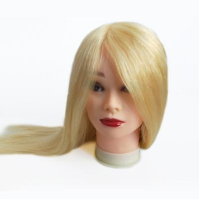 China Can be dyed any color and ironed blonde hair wholesale training head, beauty school mannequin heads, 100% human hairdressing training head with blonde hair for sale