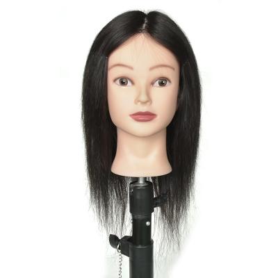 China Can Be Dyed Bleached Any Color And Products Hairdresser Mannequin Hair Mannequin Head 100% Hot Ironed for sale