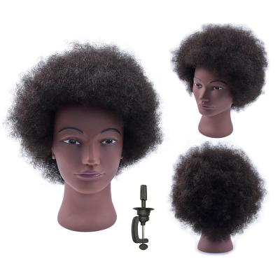 China Can Be Dyed Bleached Any Color And Ironed 100% Indian Human Mannequin Head Real Curly Hair Afro Hair Training Head Braiding Afro for sale