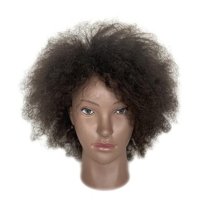 China Can Be Dyed Bleached All Color And Heads 100% Ironed African Real Hair Mannequin Head Afro Mannequin Training Cosmetology Training for sale