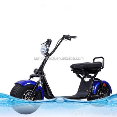 China Detachable Battery Sunport 2017 1000W Woqu X1 Citycoco Scooter With Detachable Battery for sale