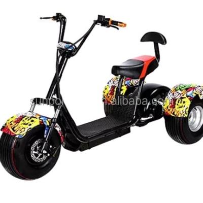 China Three wheel hot sale 3 speed Sunport fat tire mobility electric scooter citycoco for sale