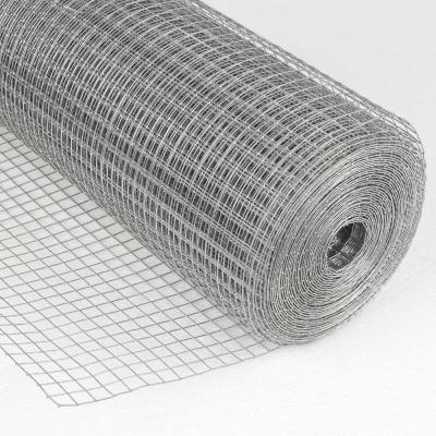 China Electrowelded Or Galvanized Welded Wire Mesh 2.5 Gauge Epoxy Coated Plain Weave For Cage Pet Mesh Wire Stock for sale