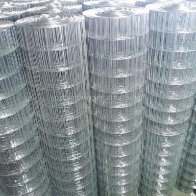 China Malla electrosoldada galvanizada price of 1x1 2x2 4x4 2x3 2x4 galvanized welded wire mesh 10x10 for sale