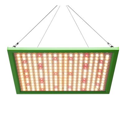 China Seed Starting New Tb1000 Led Grow Light Dimmable Lights Full Spectrum IR UV Lm281b Hydroponic Indoor Led Grow Light for sale