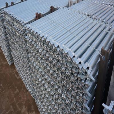 China Construction Ringlock Bridge Ledger Heavy Duty 2.5m Hot-dipped Galvanized with 3.25mm Tube Thickness à venda