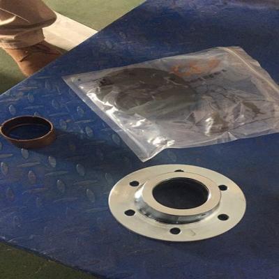 Cina Q60 trailer pump Junjin Putzmeister BEARING FLANGE COMPLETE with gasket set concrete pump spare parts 242572008 in vendita