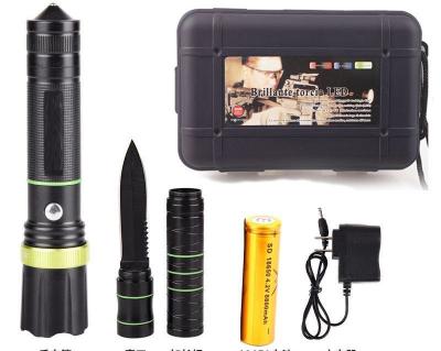 China GM-ZT01 Camping Led Flashlight Hard Case Only for sale