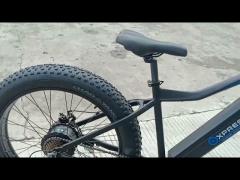 Auto Mountain Fat Tire Bike With Colourful Electric Bike Speedometer