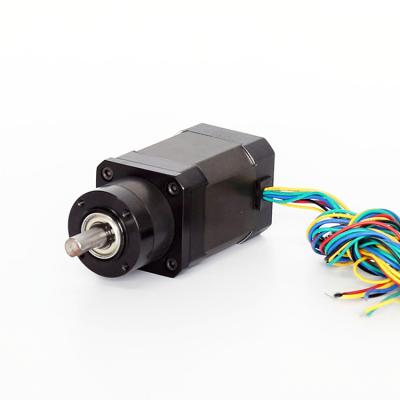 China 12v 24v Dc Motor Low Rpm High Torque Brushless Dc Geared Motor S42BL61-240 for sale