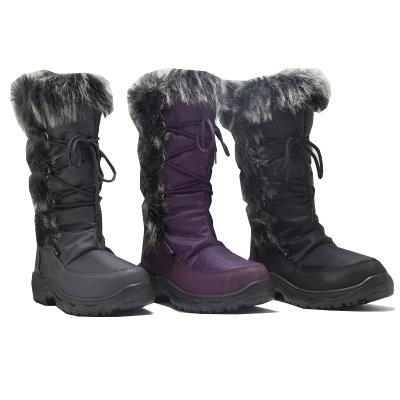 China Popular EVERGREEN plush collar lace up high top boot oxford women snow boots53 for sale