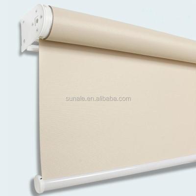 China Flame Retardant Fabric Waterproof Roll Shades For Home Decor for sale