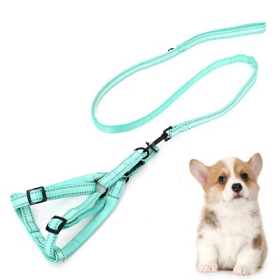 China Pet Puppy 6 Colors Padded Heavy Duty Adjustable Rope Dog Leash And Collar Set Reversible Dog Harness for sale