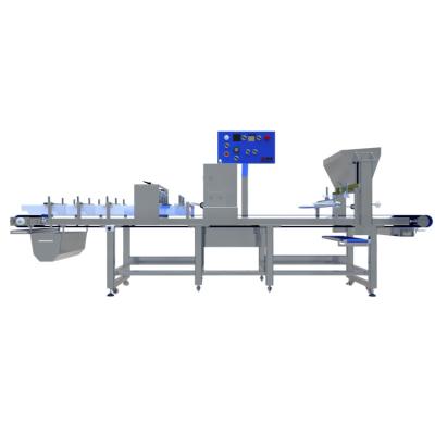 China SUS304 Stainless Steel High Efficiency Automatic Pasta Production Line Line Industrial Pasta Production Food Production Line for sale