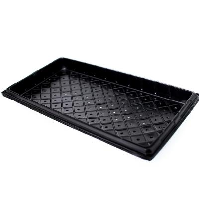 China Eco - Friendly Agricultural Kindergarten Planting PET Plastic Type Seed Trays for sale