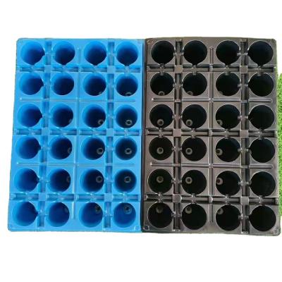 China Eco-friendly Seed Planting 24 Hole Cell Seed Tray Strawberry Seedling Germination Trays for sale