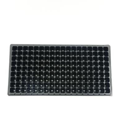 China Eco - Friendly Vegetable Seed / Watermelon / Tomato Planting Seedling Seedling Tray 162 Holes for sale