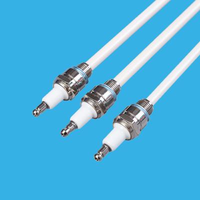 China Eco-friendly Chinese Manufacturer Supply Gas Ceramic Ignition Electrode for sale