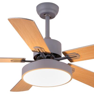 China Contemporary Simple Style Residential Bedroom Remote Control Dimmable 5 Blade Modern Colorful Wooden Led Ceiling Fan for sale