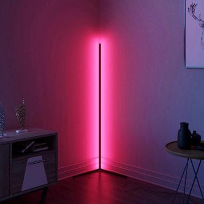 China RGB Corner Commercial Living Room Wall Use LED Neon Lamp Netflix Floor Lamp LED Ambient Light for sale