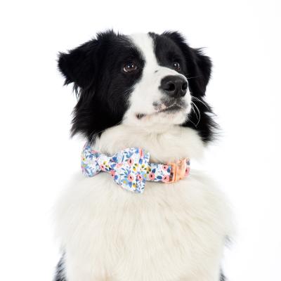 China Stored Pet Dollars With Adjustable Bow Tie Flower Collars Pets Love Sublimation Designer Dog Collar for sale