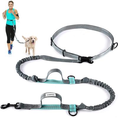 China Personalized Bungees Waterproof Reflective Retractable Double Hands Free Dog Leash For Walking Jogging Running for sale