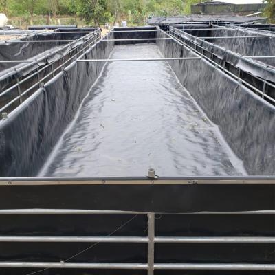 China Asian 30mil 075mm HDPE Ponds Waterproof LDPE Geomembrane Black Water Tank Liner for sale