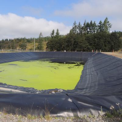 China Asian waterproof waterproof HDPE geomembrane material cover for pigwaste lagoon to produce for sale