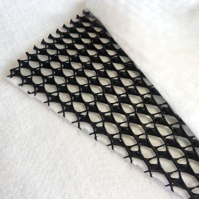 China Asian Geonet Composite Geotextile Drainage Net For Artificial Turf Grass for sale