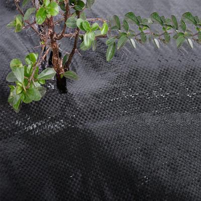 China China Tear Resistant Block Supplier Feathery Stipe Control Gardening Fabric Weed Resistant for sale