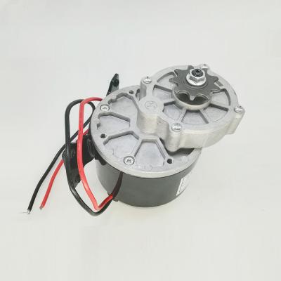 China Other 12v MY1016Z Brush DC Motor 250w Electric Bike Motor With Speed ​​Controller for sale